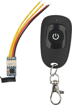 A remote control transmitter and receiver module.