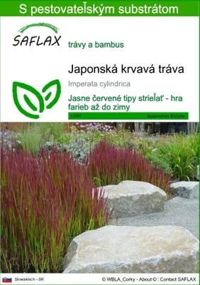 Obrázok produktu pre SAFLAX - Japonská krvavá tráva - Imperata cylindrica - 50 Semená - S pestovateľským substrátom bez klíčkov