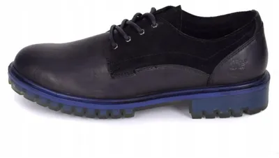 Imagen del producto de Botas Timberland TB069092M6478XXA