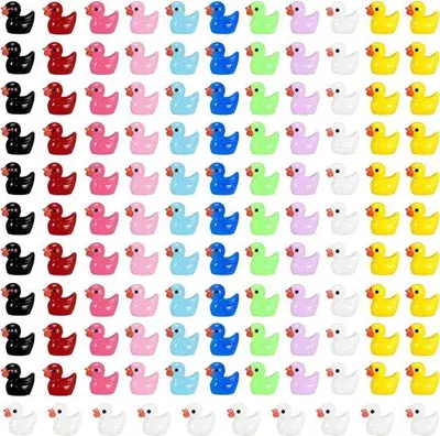 Immagine prodotto di Mini anatre colorate decorative per acquari e piante