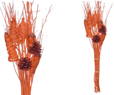 Produktbild von BOHO Trockenblumenstrauß gemischt Brunch Orange 68 cm