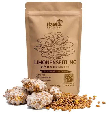 Produktbild von Hawlik Pilzbrut Limonenpilze Körnerbrut 150 g – Pilzbrut für eigene Pilzzucht, Goldener Austernpilz
