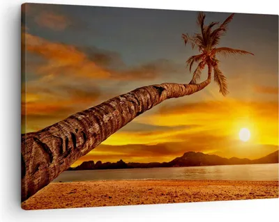 Produktbild von Bild auf Leinwand - Leinwandbild - Palme Landschaft Sonne - 70x50cm - Wand Bild - Wanddeko - Leinwanddruck - Bilder - Kunstdruck - Wanddekoration - Leinwand bilder - Wandkunst - AA70x50-0162