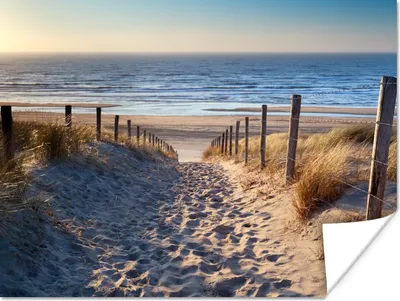 Produktbild von MuchoWow® Poster Strand - Meer - Niederlande - Dünen - Sonne 160x120 cm - Foto Plakat