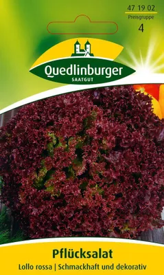 Immagine prodotto di Semi di Quedlinburger - Lattuga rossa - semi - 471902
