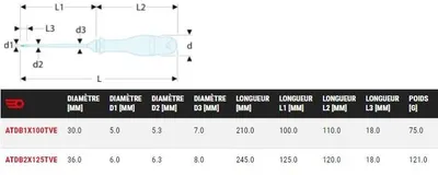 Image de Tournevis Protwist® Borneo® 5x100mm pour vis Pozidriv 210mm - FACOM - ATDB1X100TVE