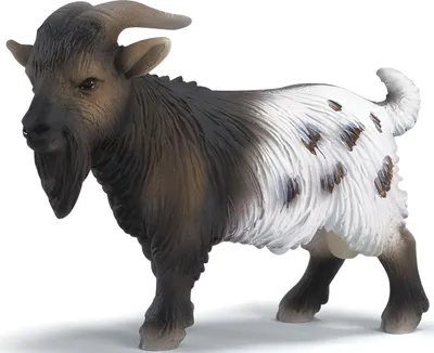 Produktbild von Schleich 13602 Zwergziegenbock