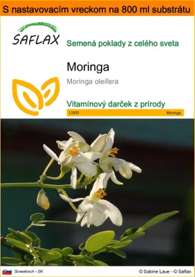 Obrázok produktu pre SAFLAX Garden in the bag - moringa - Moringa oleifera - 10 Semená - S pestovateľským substrátom v praktickom samostaviteľnom vrecku
