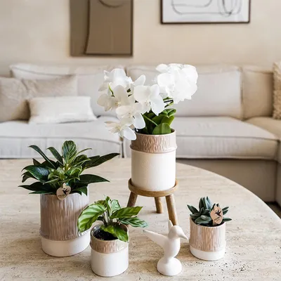 Produktbild von Kolibri Home | Willow Übertopf - Sand - Ø6cm