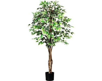 Produktbild von Kunstbaum Ficus Benjamina Kunstfaser 180 cm grün