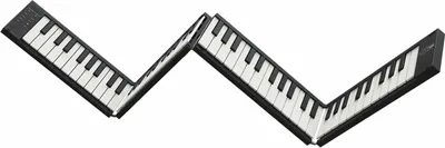 Zdjęcie produktu dla Carry-On Folding Piano 88 Cyfrowe stage pianino Black
