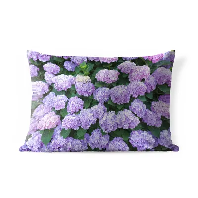 Obrázek produktu pro MuchoWow® Vnější polštář - Hortenzie rostlina -50x30 cm- Odolnost proti povětrnostním vlivům - polštář do obývacího pokoje