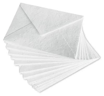 Immagine prodotto di Buste biodegradabili piantabili – 15 x 23 cm – 25 pezzi – Ideali per inviti e cartoline