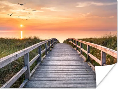 Produktbild von MuchoWow® Poster Sonnenuntergang - Meer - Weg - Gras - Düne - Vögel 120x90 cm - Wandbild