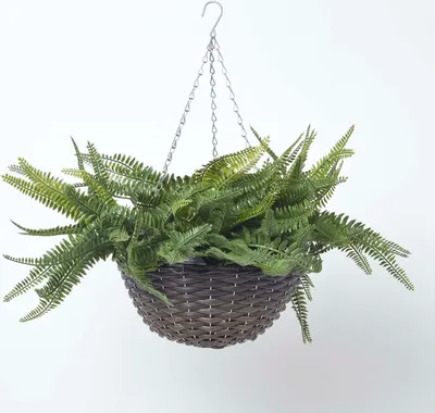 Produktbild von HOMESCAPES Hängender Kunstfarn Boston im Korb, 65 cm hoch
