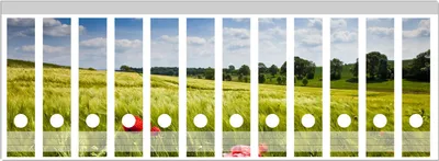 Produktbild von Wallario Ordnerrücken Sticker, selbstklebend für breite Ordner, 12 Stück, Motiv Mohnblumenwiese auf grüner Wiese unter blauem Himmel