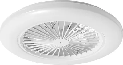 Obrázek produktu pro Jayseuw LED stropní ventilátor s osvětlením a dálkovým ovládáním Stmívatelné stropní světlo ložnice obývací 49CM