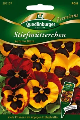 Productafbeelding van Viooltje 'Autumn Blaze' | Viooltjeszaden van Quedlinburger