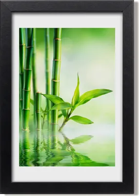 Produktbild von Bild 20x30 MDF-Rahmen, Wandkunst Bambus in Wasser