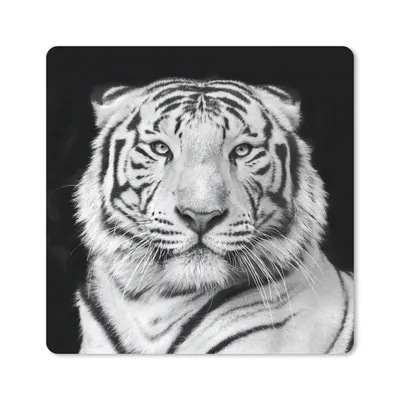 Produktbild von MuchoWow® Mauspad Mousepad Tiger - Schwarz - Weiß - Porträt - Tiere 20x20 cm - Mousepads - Maus Mat - Pad - Mausunterlage - Desk Mat - Bureauartikeln