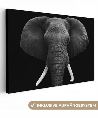 Produktbild von MuchoWow® - Leinwandbilder - Elefant - Wildtiere - Schwarz - Weiß - Porträt, Wandbild, Wanddeko Bilder Wohnzimmer, 120x80 cm