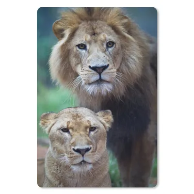 Produktbild von MuchoWow® Mauspad Mousepad Porträt - Löwe 18x27 cm - Mousepads - Maus Mat - Pad - Mausunterlage