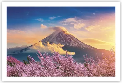 Produktbild von Poster - Poster ohne Rahmen - Fuji Blume Kirsche - 91,5x61 cm - Wand Bild - Wanddeko - Wandbilder - Kunstposter - Wandposter - Bilder - Kunstdruck - Wanddekoration - Wandbild - P2XAA91x61-4490