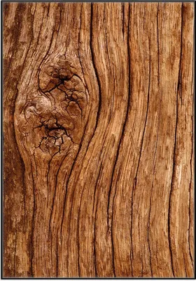 Produktbild von Wallario Wandbild Holzstamm mit Asteinschluss, Größe: 70,30 x 100,30 cm, Poster mit schwarzem Aluminiumrahmen