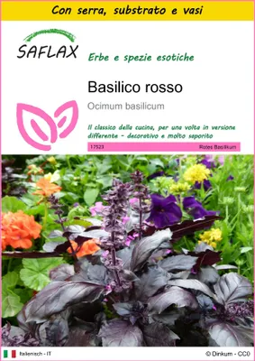 Immagine prodotto di SAFLAX Insieme di coltivazione - Basilico rosso  - 200 semi - Ocimum