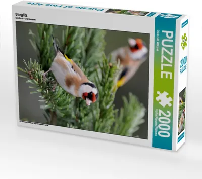 Produktbild von CALVENDO Puzzle Stieglitz 2000 Teile Puzzle hoch | 2000 Teile Lege-Größe 90x67cm Foto-Puzzle für glückliche Stunden