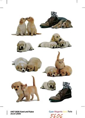 Produktbild von HERMA DECOR stickers whelps 3 sheets, A4 sheets