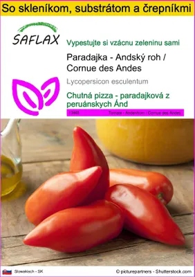 Obrázok produktu pre SAFLAX Kultivačný set - Paradajka - Andský roh / Cornue des Andes - Lycopersicon esculentum - 10 Semená - S mini skleníkom, pestovateľským substrátom a 2 črepníkmi