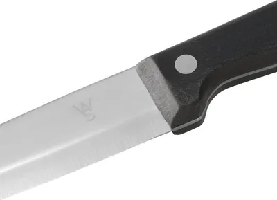 Produktbild von Steakmesser Set mit POM Kunststoffgriff, 25 cm, Set á 6 Stück, Polyoxymethylen, Chromstahl 13/0