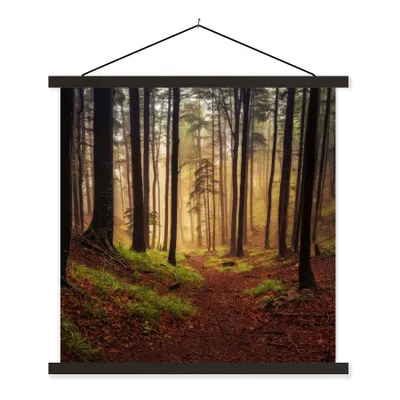 Produktbild von MuchoWow® Textilposter Bäume - Natur - Wald 120x120 cm mit schwarzem Rahmen - Aufhängungsset