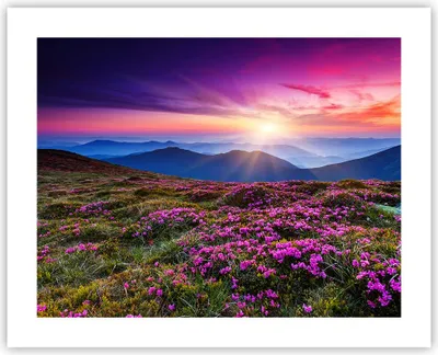 Produktbild von Poster - Poster ohne Rahmen - Wiese Berg Himmel Landschaft - 50x40 cm - Wand Bild - Wanddeko - Wandbilder - Kunstposter - Wandposter - Bilder - Kunstdruck - Wanddekoration - Wandbild - P2XAA50x40-2719