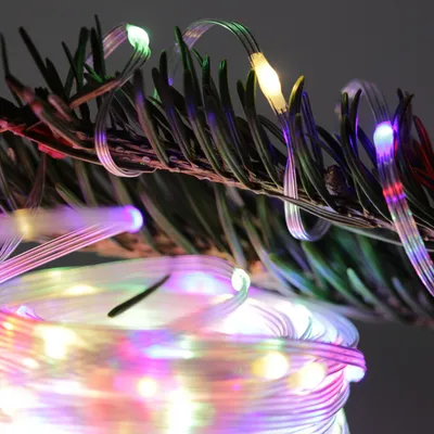 Immagine prodotto di FHS Catena luminosa a LED 100 B.mc multicolore 8F. Timer IP44