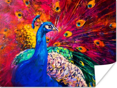 Produktbild von MuchoWow® Poster Gemälde - Vogel - Pfau - Ölgemälde 160x120 cm - Foto Plakat