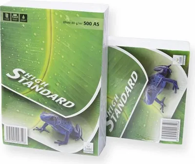 Produktbild von Europapier STANDARD PAPIER A5, 80g/m2, 1x500 Blatt ( Papierformat A5 !!!! )
