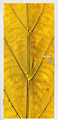 Produktbild von MuchoWow® Türtapete Selbstklebende Türfolie Blätter - Pflanzen - Gelb 95x235 cm Türposter Türaufkleber Klebefolie Türklebefolie - XXL-Poster - Türtapeten - Türplakaten