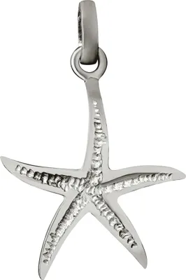Produktbild von NKlaus Maritim Kettenanhänger Seestern Hitode 925 Silber Stachelhäuter Silberamullet 15273