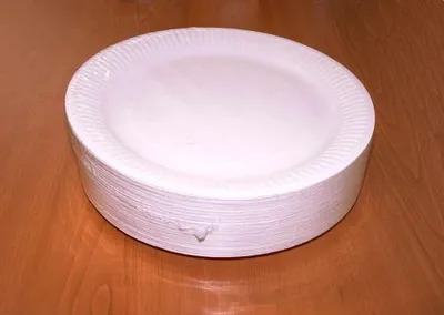 Immagine prodotto di PAPSTAR 90020 Einweg Pappteller,23cm,100er