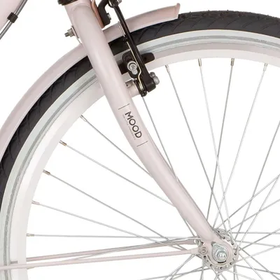 Produktbild von Alpina Fork 24 Mood Powder Pink Matt