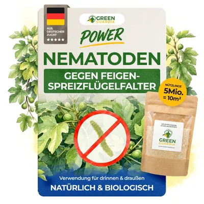 Produktbild von Green Guardia Nematoden gegen Feigenspreizflügelfalter – 5 Mio - Effektiv Feigenspreizflügelfalter bekämpfen, Mittel gegen Feigenspreizflügelfalter