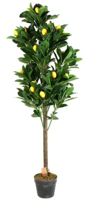 Obrázek produktu pro Umělý citroník, 120 cm, v zeleném květináči