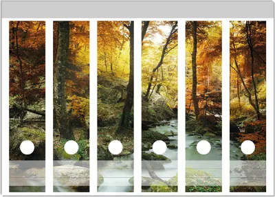 Produktbild von Wallario Ordnerrücken Sticker, selbstklebend für breite Ordner, 6 Stück, Motiv Wasserfall mit moosbedeckten Steinen im Herbstwald