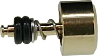 Produktbild von Casio G-Shock 10599106 Drücker Edelstahl gelbgoldfarben GA-2100TH-1A