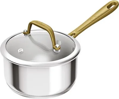 Image de Paul Bocuse Casserole Inox 16cm Casserole Inox 16cm Avec Couvercle Verre - Gpe Seb France Tefal Menage