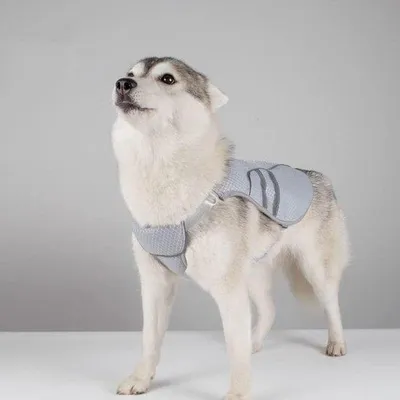 Produktbild von Famanu Kühlweste für Hunde - Atmungsaktives Mesh für kleine und mittelgroße Hunde
