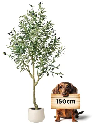 Image de Olivier artificiel avec pot blanc, 150 cm