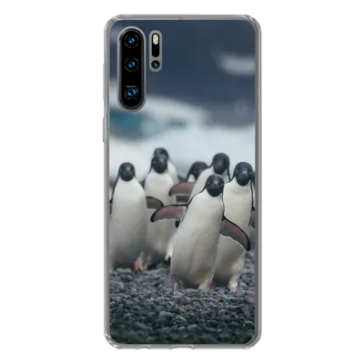 Produktbild von MuchoWow® Handyhülle Schutzhülle Hülle für Huawei P30 Pro Adeliepinguine am Strand Silikon Softcase Handy Hülle - Schutzdeckel